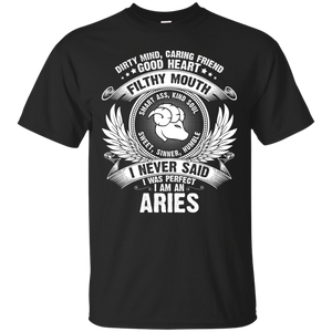 Aries Perfect Birthday Dirty Mind, Good Heart Zodiac Tee HT01 - aries-perfect-birthday-dirty-mind-good-heart-zodiac-tee-ht01-vivianstorescom